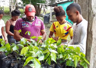 T06.17 Amazonía joven Caquetá