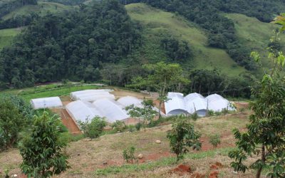 Así avanza la reincorporación: Inauguración de la infraestructura piscícola en Miravalle, Caquetá