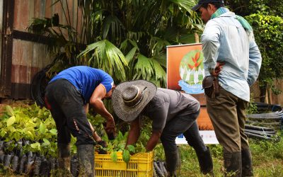 Educación radial para comunidades caqueteñas en época de pandemia