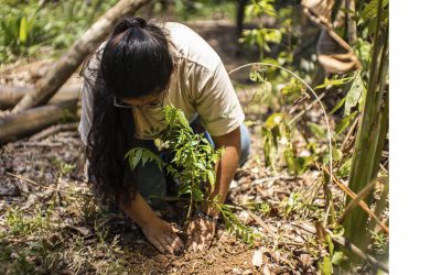 “Yo Soy Amazonía”, una campaña por los jóvenes del Guaviare